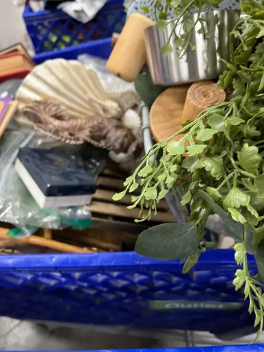 Goodwill Bins Haul!!! (WHAT!)