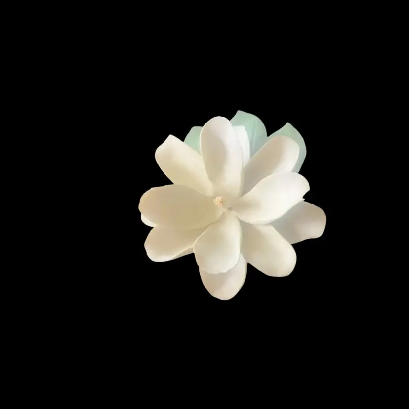 Capodimonte Magnolia Bloom