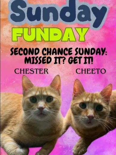Sunday Fun Second Chance Sunday W/pickinpete&tracy