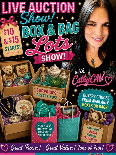 Box & Bag Lots! $10 & $15 Starts. Buyer's Choice From Available Boxes or Bags!