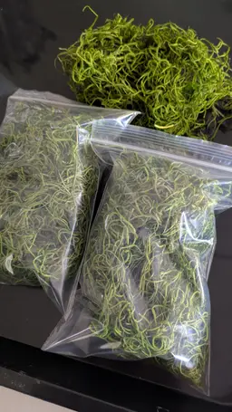 Preserved Spanish Moss 4x6 bag