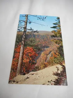 Vintage Postcard unposted Grand Canyon Pennsylvania fall nature 1950s