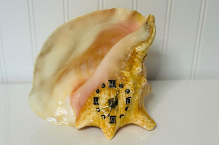 Vintage Nautical Conch Shell With Functional Metal Clock Face UNIQUE Rare Decor