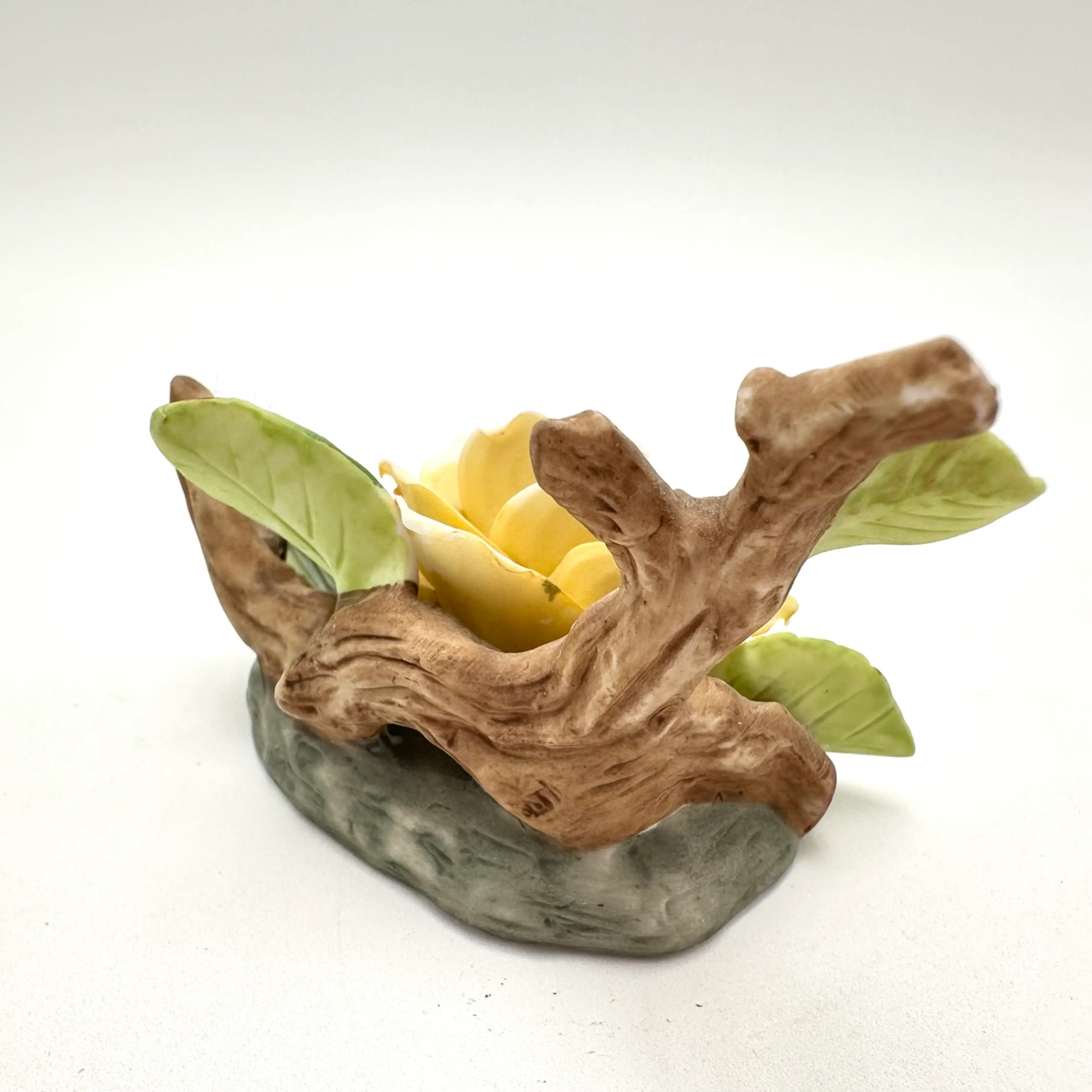 Image 4 of 13