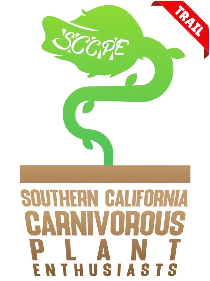 Livestream thumbnail