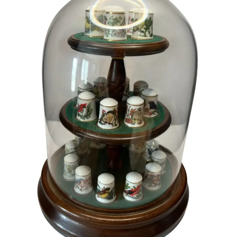 25 Thimbles “Songbirds Of The World” 1983 Franklin Porcelain Domed Display Case @9 “ Tall @ 6” Diameter At Base