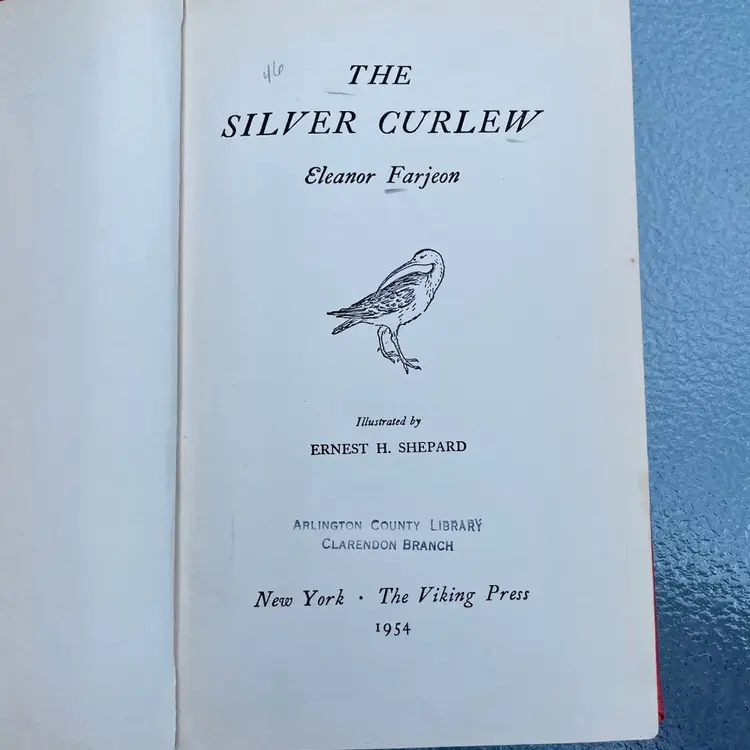 The Charming Book - The Silver Curlew