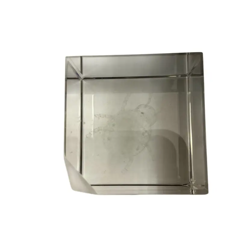 3-D Laser Etched Ladybug Crystal Cube Paperweight 1 1/2”x  1 1/2”