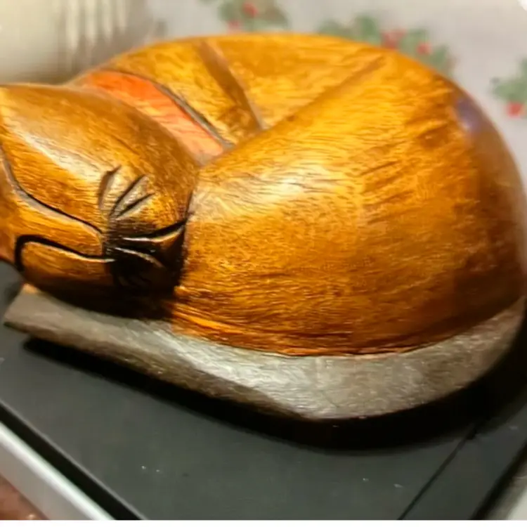 Teak Sleeping Siamese Cat