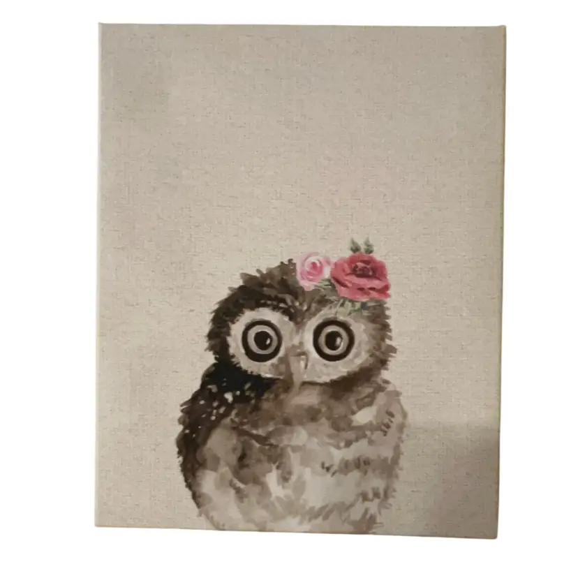 Canvas Owl Art 8 X 10