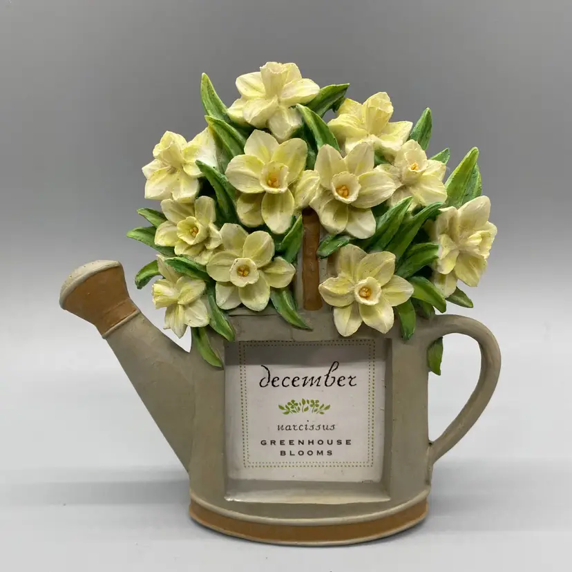 Russ Berrie Greenhouse Blooms Flower of the Month Picture Frame December Narcissus 2x2
