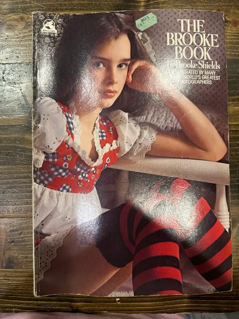 The Brooke Book By Brooke Shields