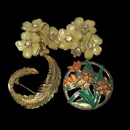 Two Brooch And Vintage Earring Set