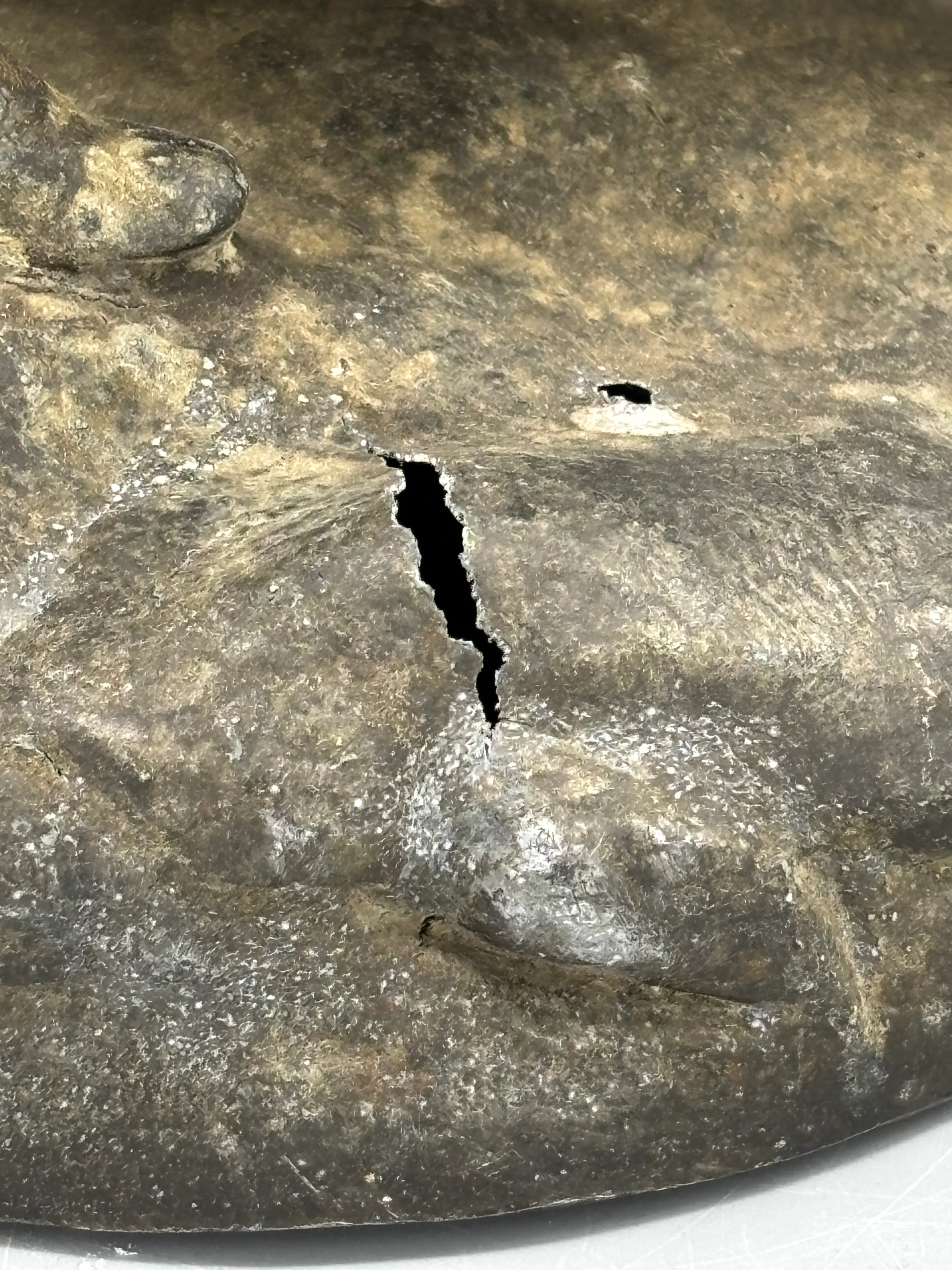 Image 3 of 7