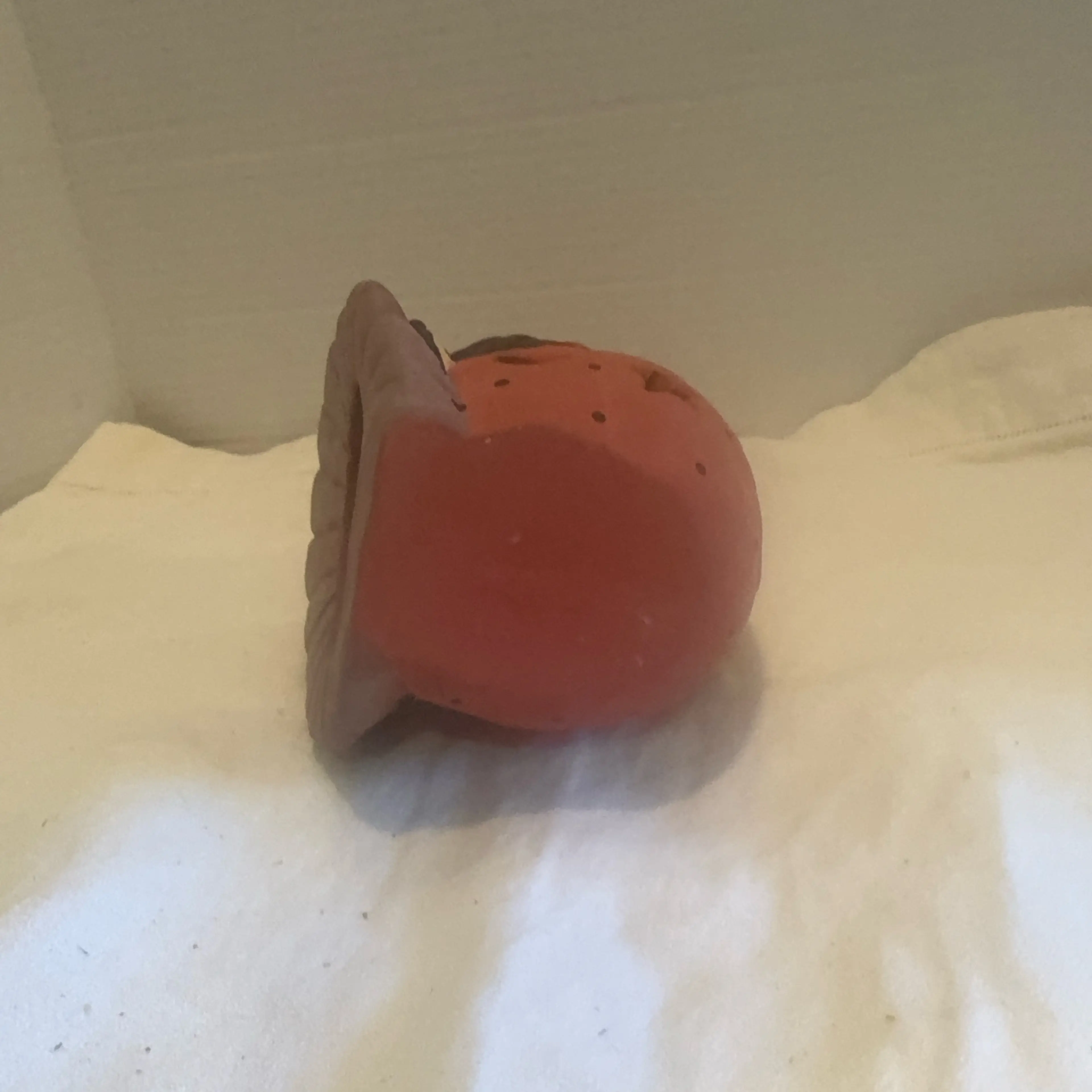 Image 5 of 5
