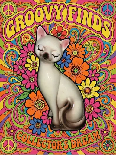 Groovy Finds w/ Mel! 