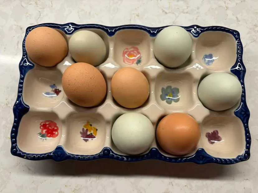 Pioneer Woman Easter Egg Holder Ceramic Floral 15 Eggs Blue White