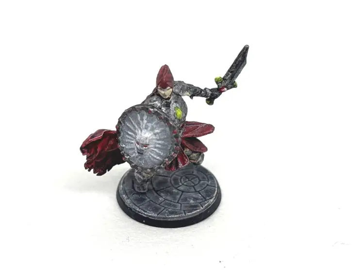 Elite Knight Guard Ghostslayer NPC Dungeons Dragons DnD LoTR Hand Painted