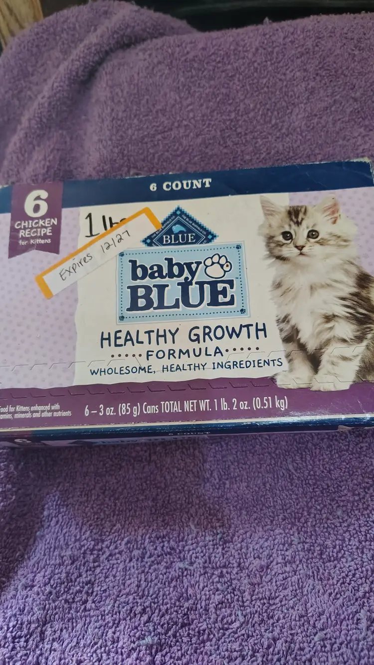 Baby blue healthy growth kitten food