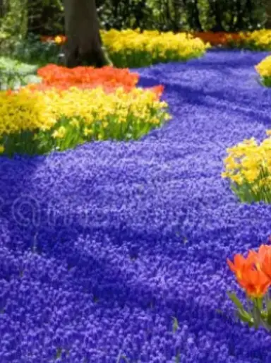 Ready For Spring Sale