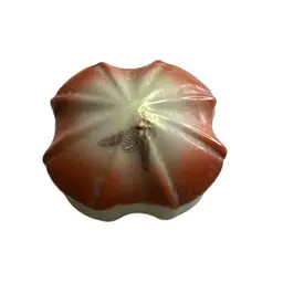 Bone China Bee Trinket Box 2.5” X 1.5”