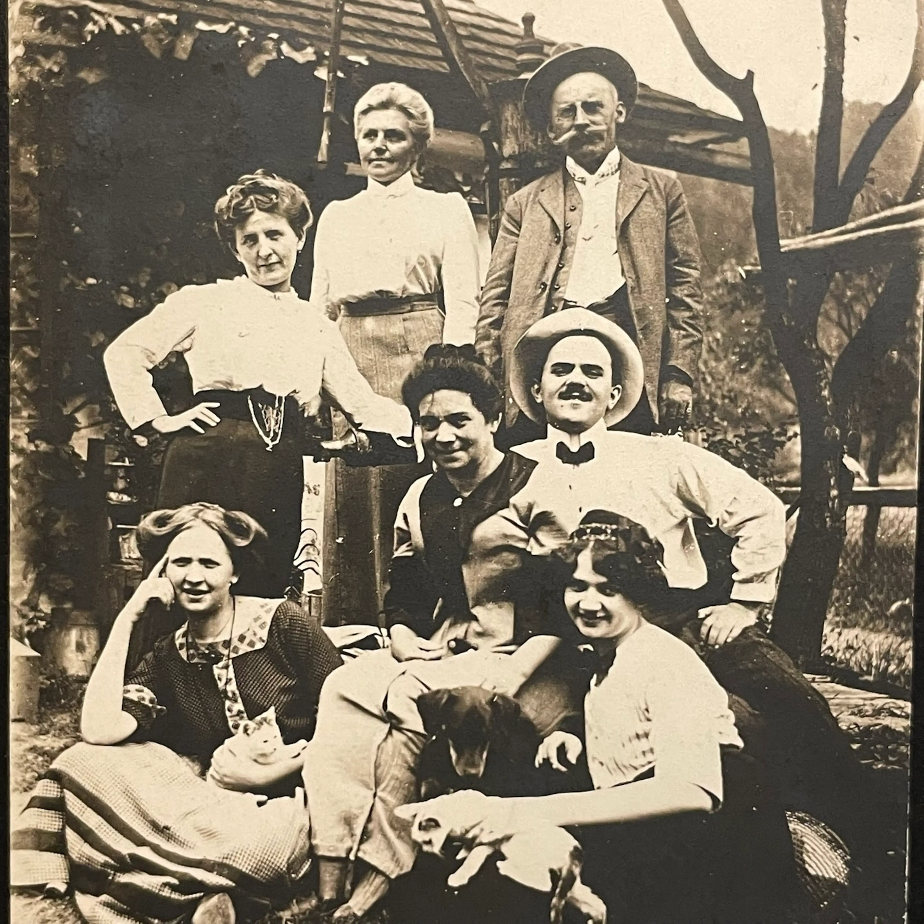 Image 2 of 11