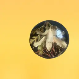 Lucite Preserved Flower Paperweight 2 X 1 1/8 Inches