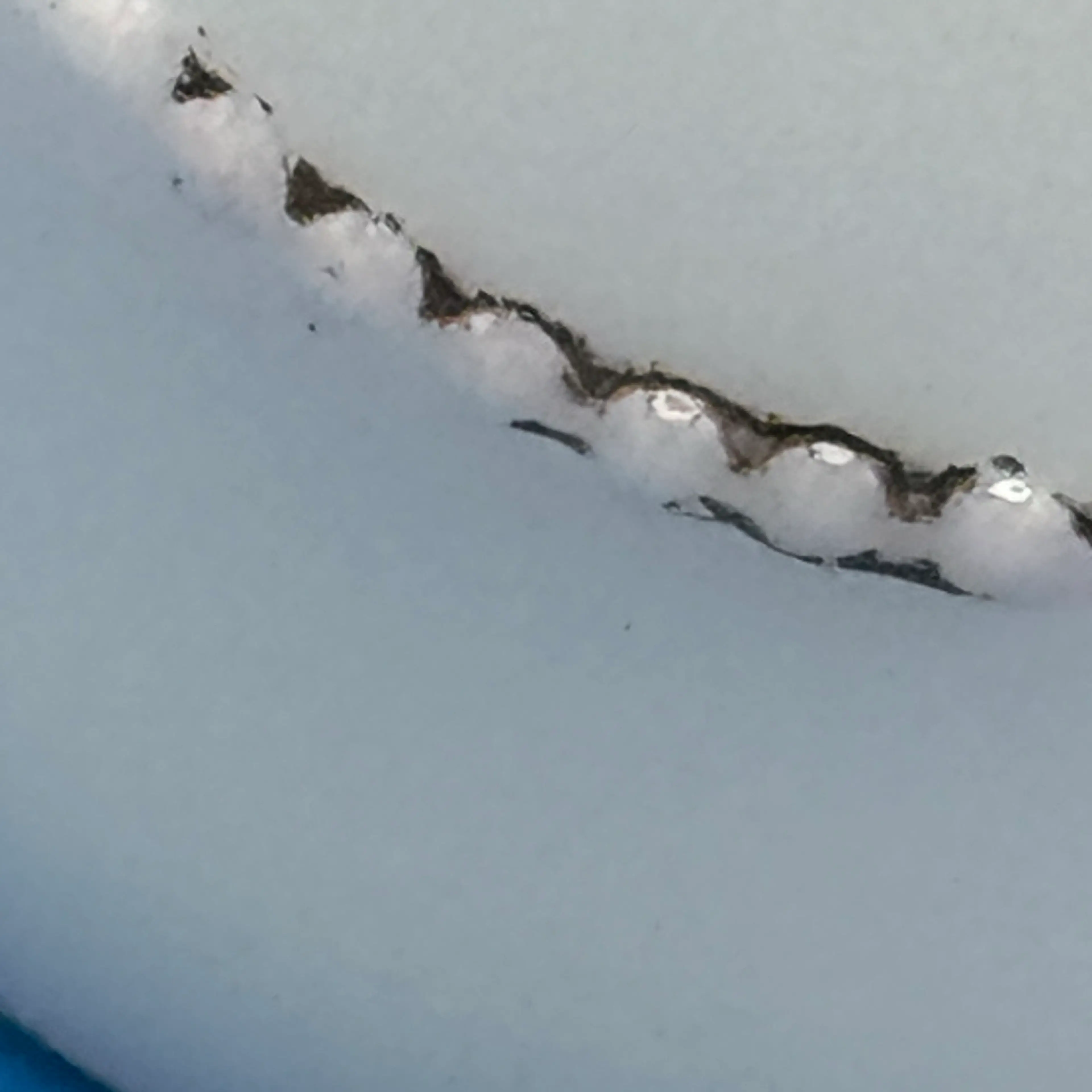 Image 5 of 8