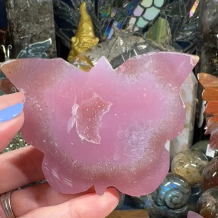 Jelly Agate Butterfly 15A