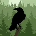 Forest Raven