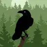Forest Raven