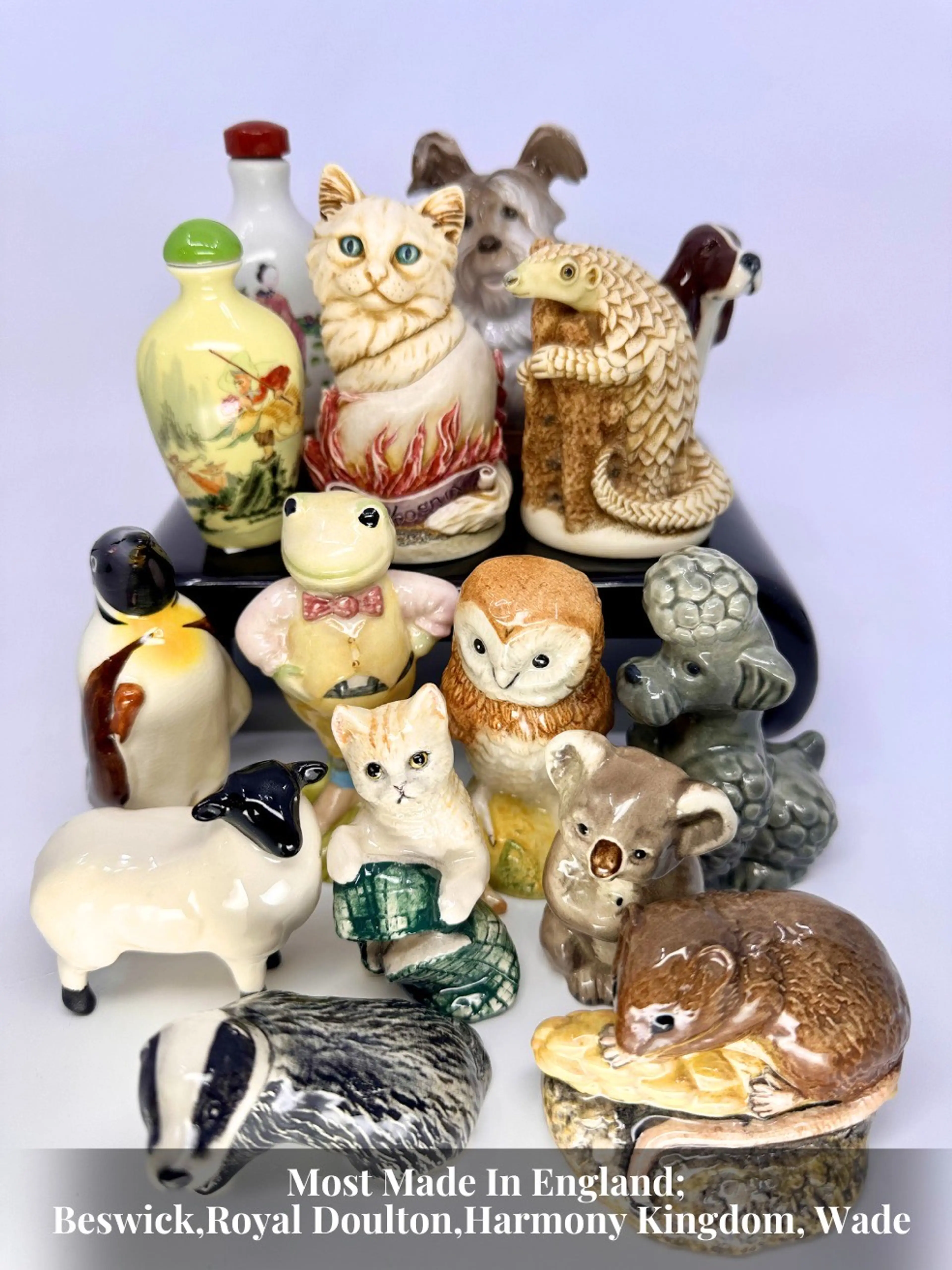 💥Quick Show 💥ALLZZ THE SMALLZZ