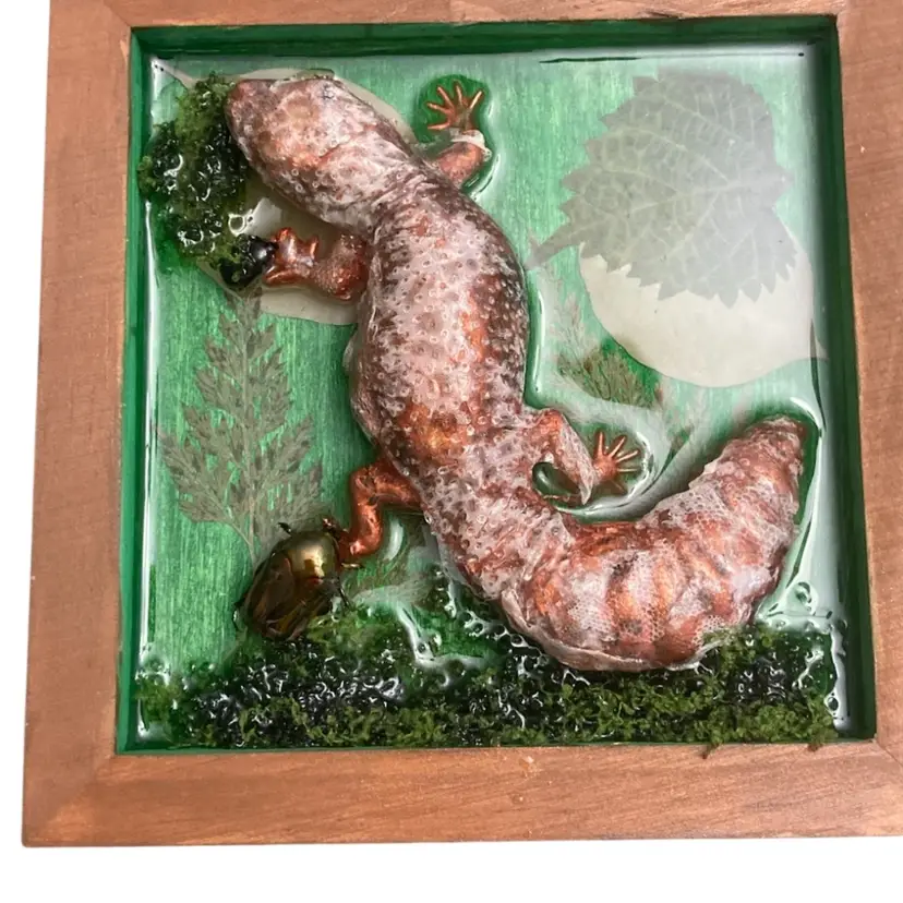 Handmade Lizard Wall Art With Real Gecko Skin And Beetles