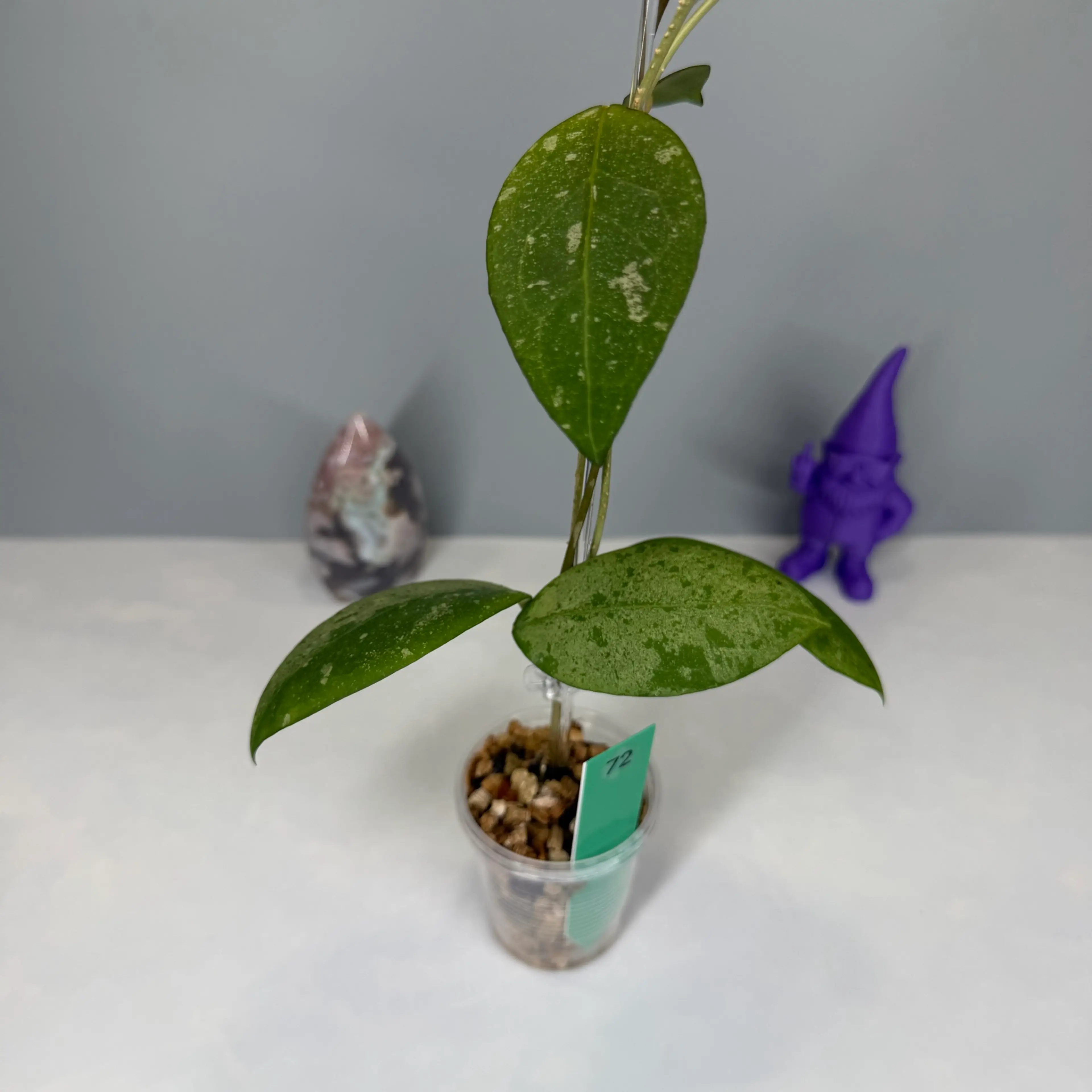 Image 2 of 4