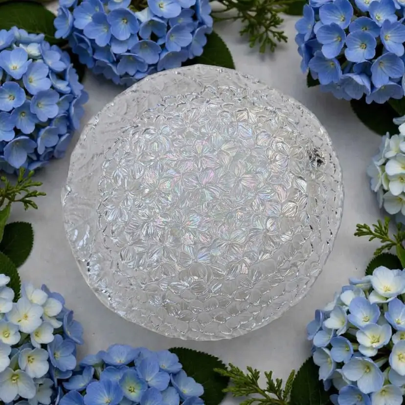 Set Of 5 Hoya crystal Clear Iridescent Hydrangea Plates 7.25"