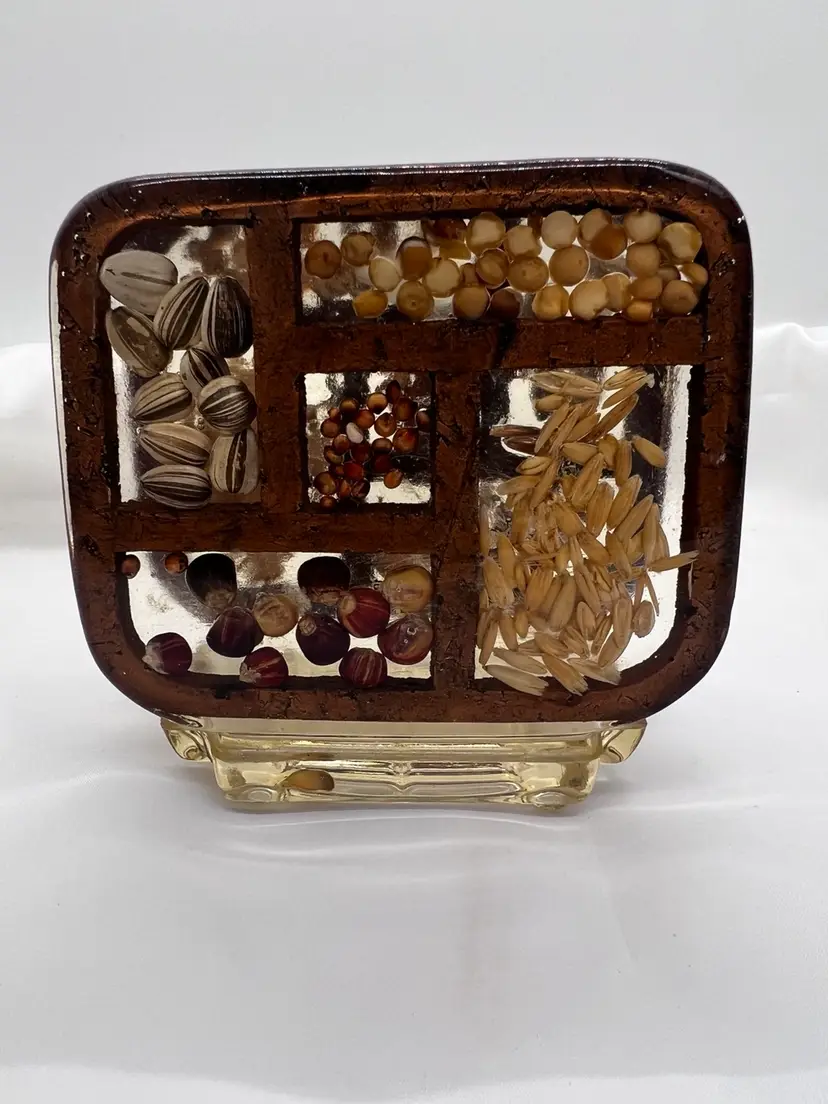 Super Kitschy Vintage Lucite Napkin Holder with Beans and Seeds