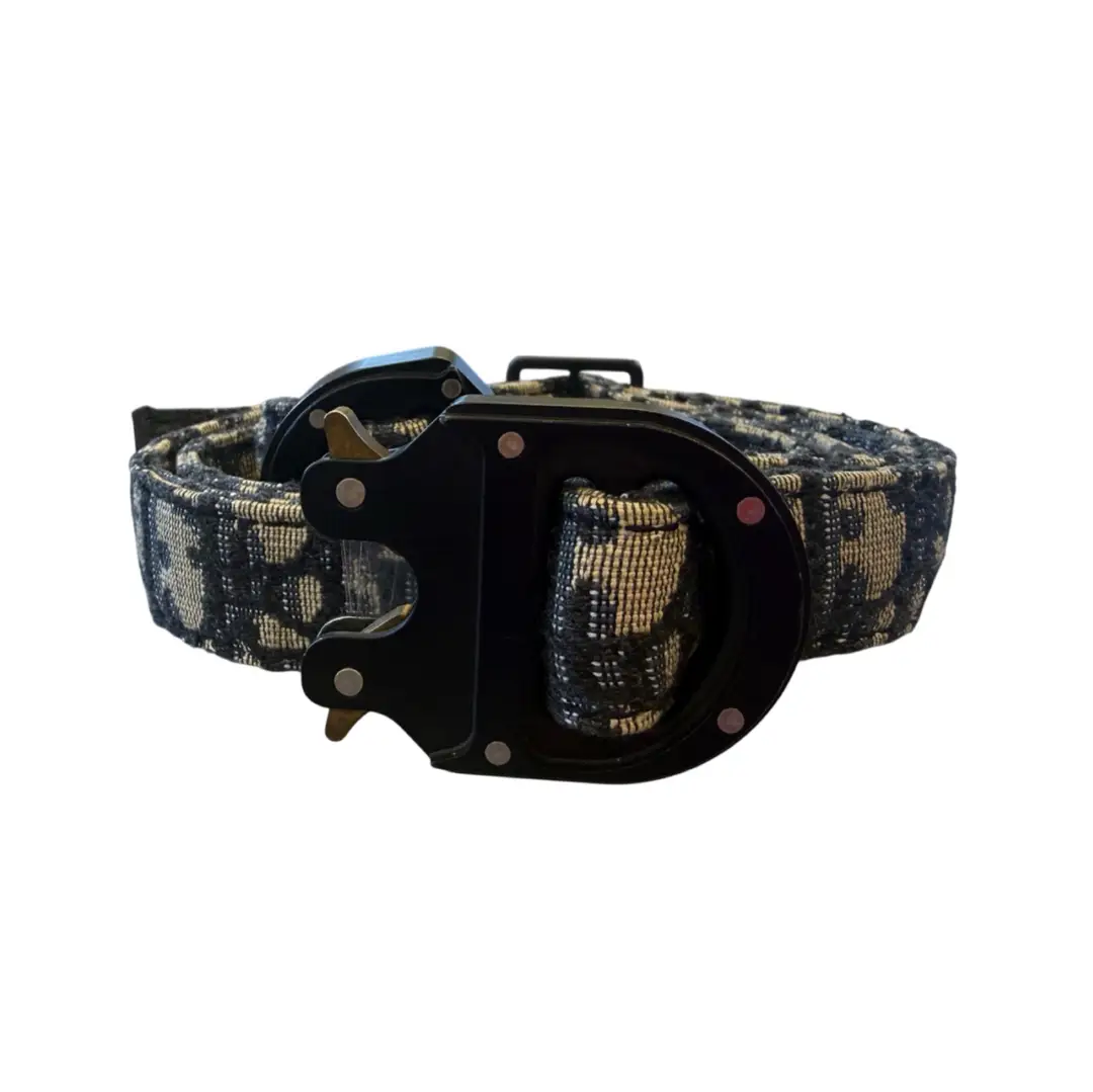 Dior CD Buckle Belt