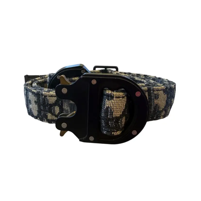 Dior CD Buckle Belt