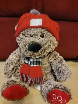 I Am Loved Make A Wish Teddy Bear HELZBERG DIAMONDS 15"