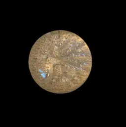 Clear Paperweight W/Reverse Snowflake 3 1/8 X 1 1/2 Inches