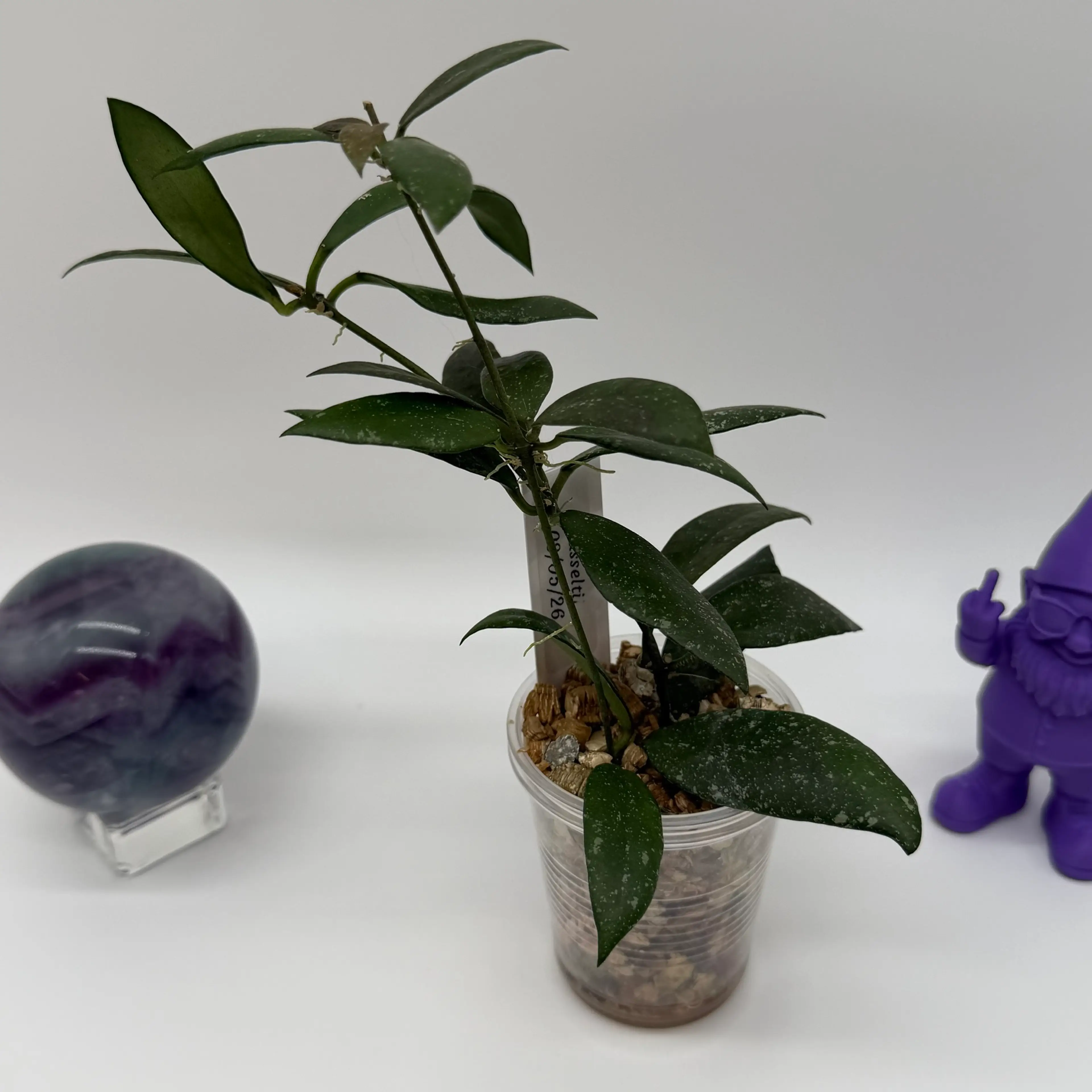 Image 3 of 3