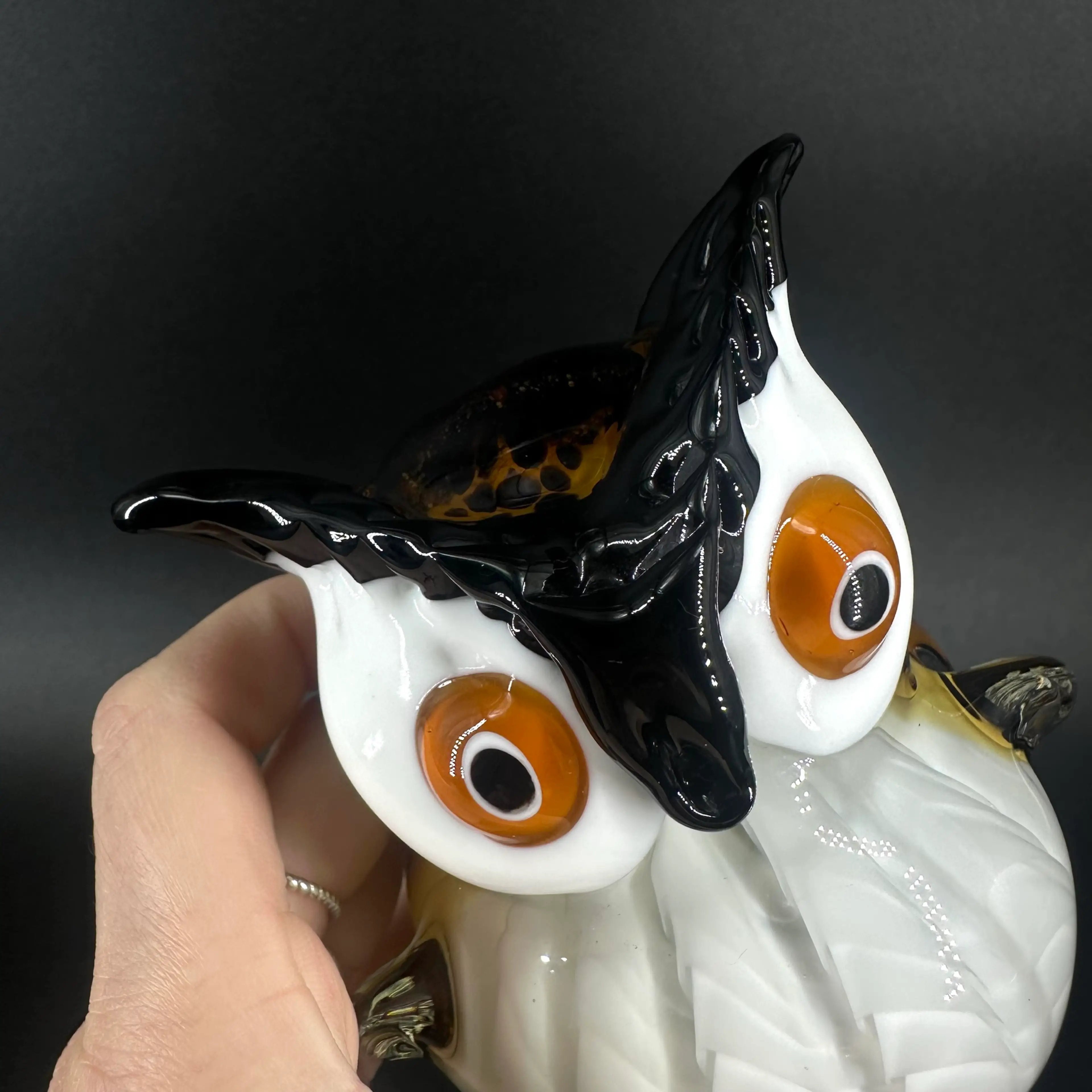 Image 5 of 6