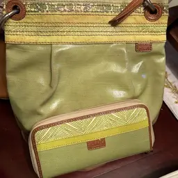 Fossil Crossbody with matching wallet