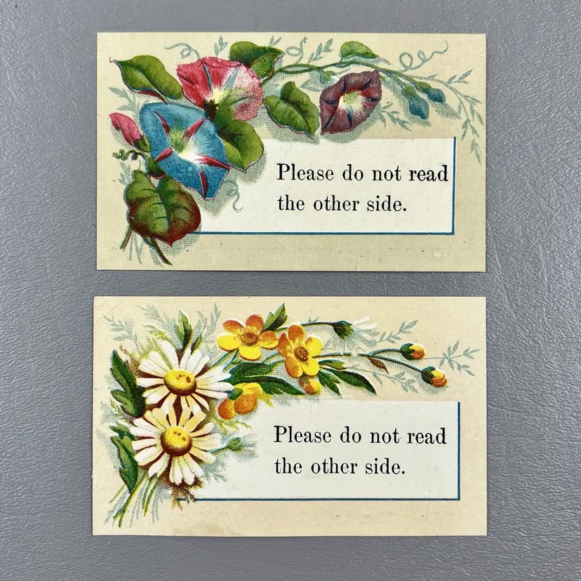 Victorian Trade Cards (2) HC Franks Wizard Clasps Flowers Morning Glory Daisy