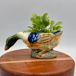Small Vintage Ceramic Duck Planter