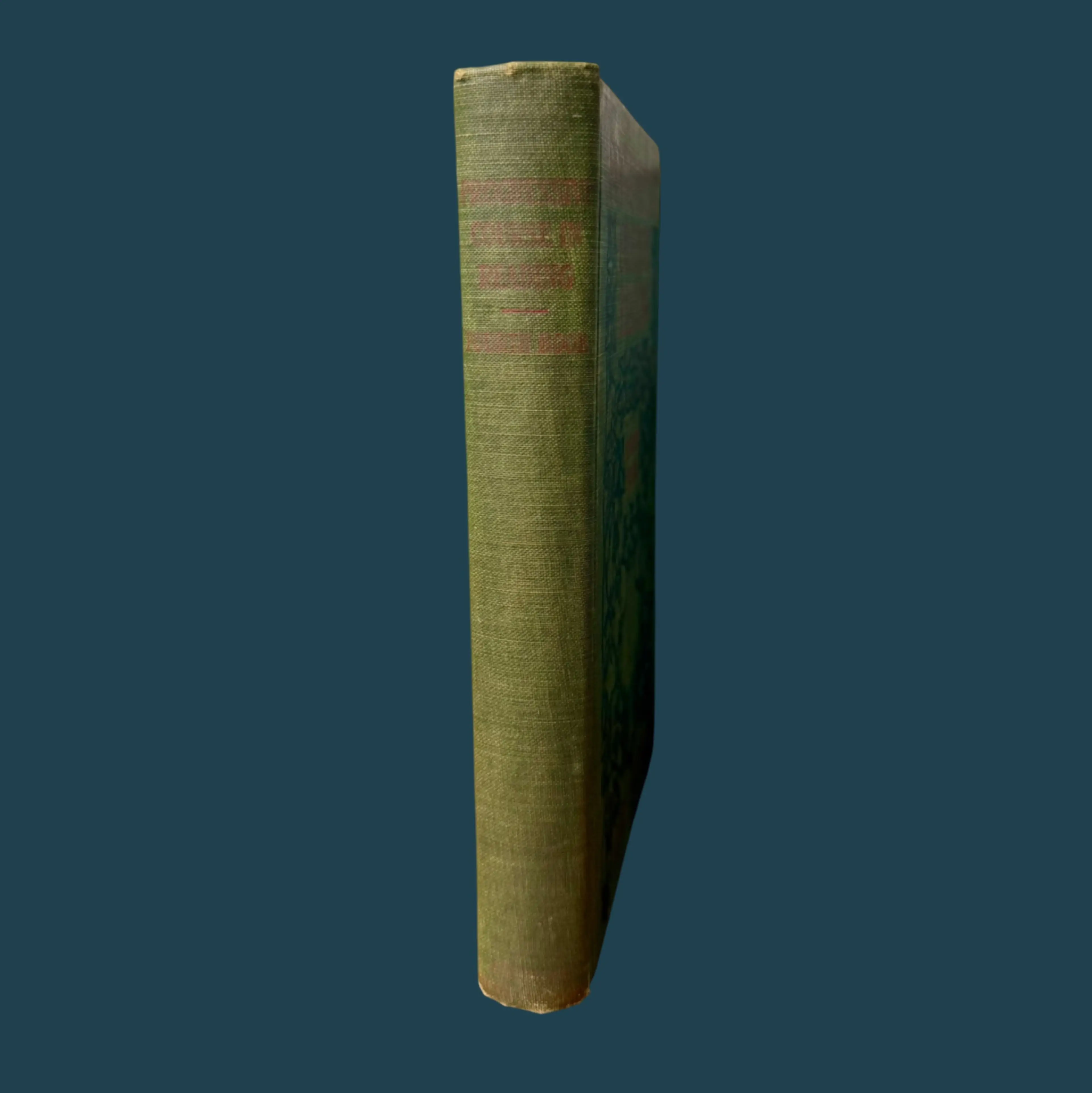 Image 2 of 12