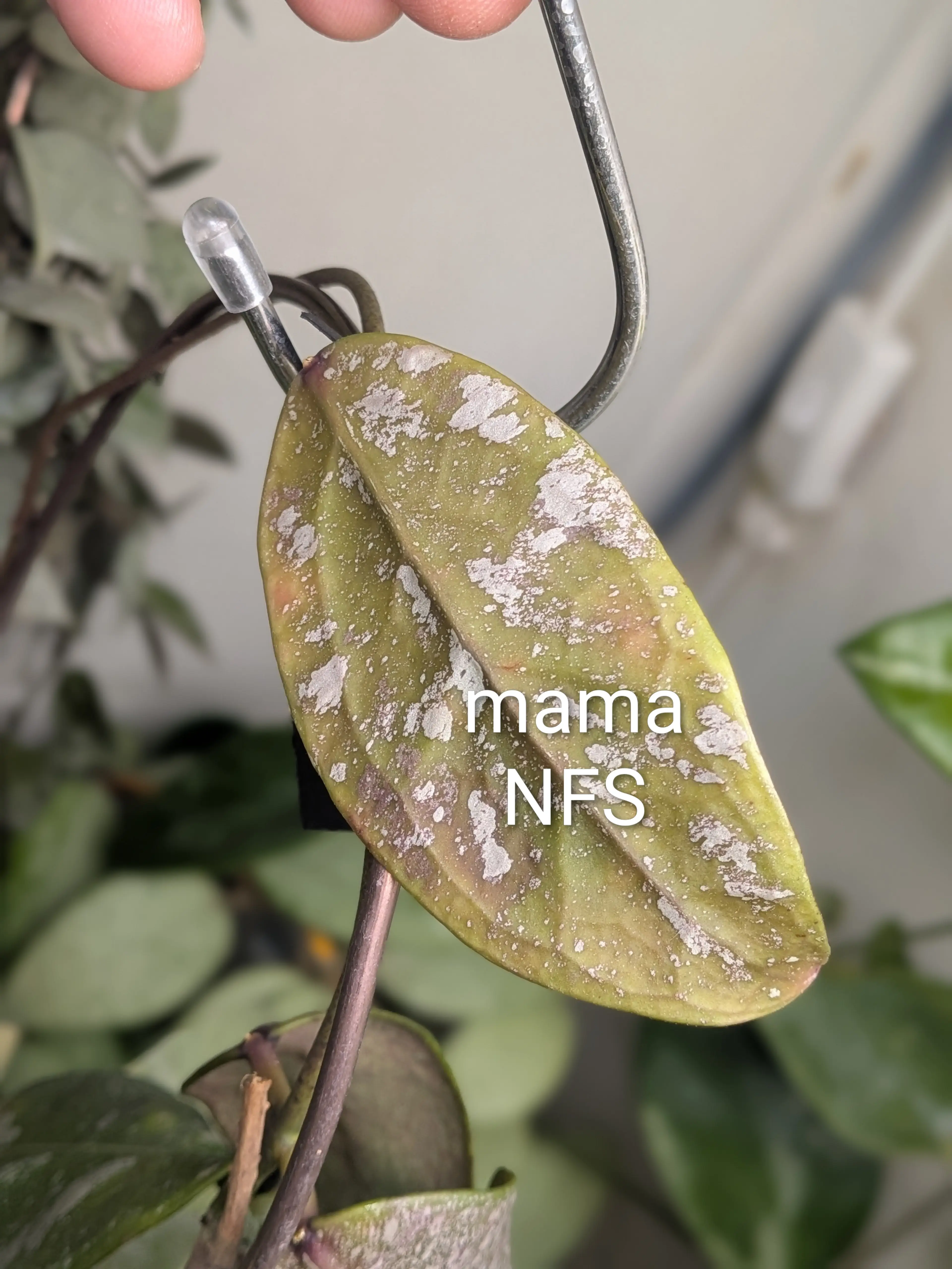 Image 2 of 3