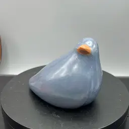 CHULUCANAS BLUE BIRD