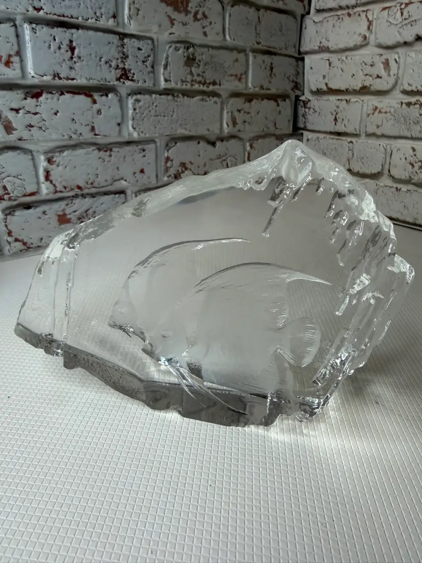 Mat  Jonasson With Ice Looks W/ Ice Frozen Fish 2 Fish Into It And Signed