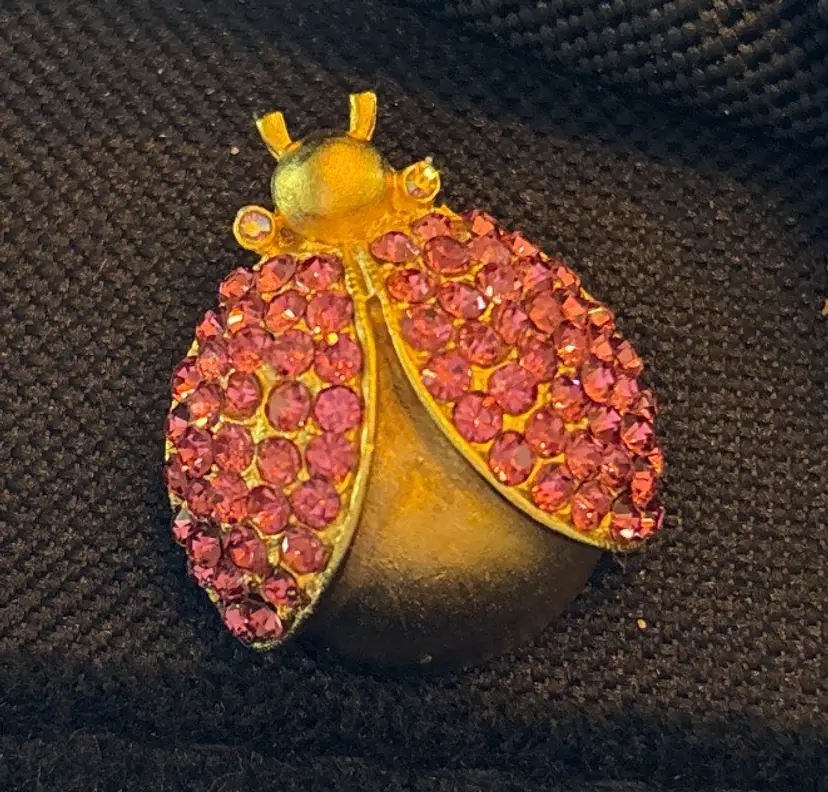 Vintage H.S. Pink Rhinestone Ladybug Brooch – 1980s Gold-Tone Figural Pin